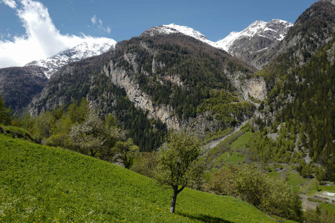 Biffig bei Sant Niklaus, Mattertal