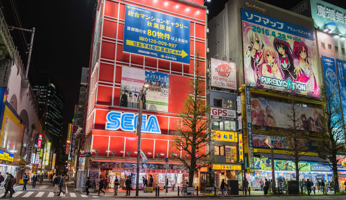 Neon bustle of Asakusa electronic district 