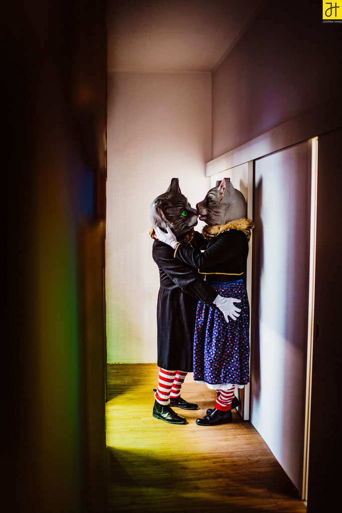 © JOANNA HAAG / #Fotoshooting #Fotoprojekt #Katze #Kater #Verein #Fasnet #Villingen