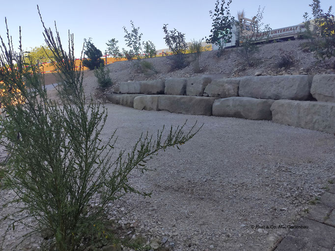 Sandsteinarena mit Ruderalbepflanzung, Aufenthaltsraum für Schüler 