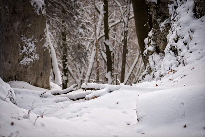 Winter 2014, Kloster Weltenburg.