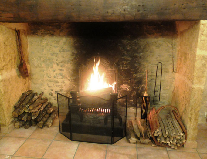 Gîte Le Vieux Frêne ; Pour vos soirées d'hiver un bon feu de bois