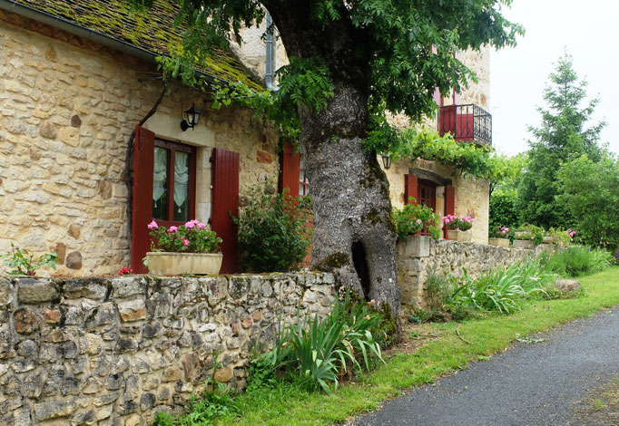 Gîte Le Vieux Frêne : Votre entrée côté rue.