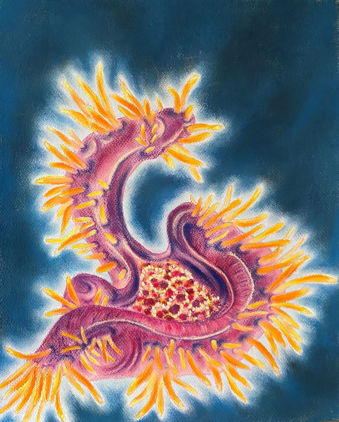 Sea Flower III, 2022 | 50x40cm | Pastel, aquarel op  papier