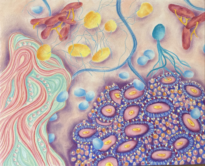 Coral Playground (deel installatie), 2025 | ca 150x75cm | Pastel, pastelpotlood op papier