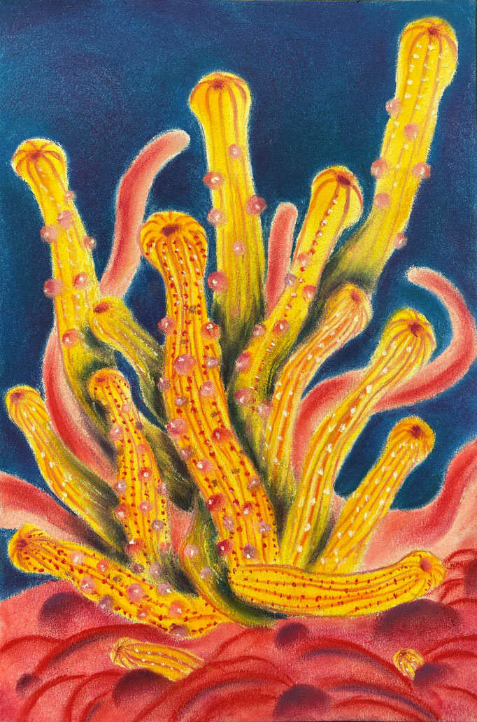 Life beyond light, deep sea close up 6, 2023 | 30x20cm | Pastel, pastel potlood op papier 