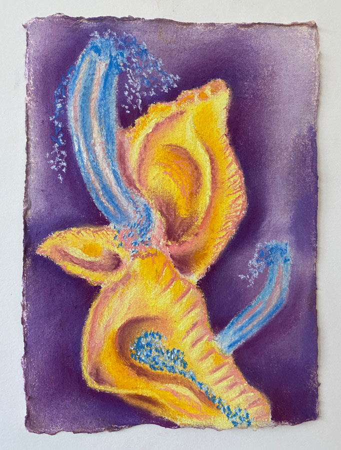 Unknown tiny sea organism (2), 2025 | 21x15cm | Pastel op Khadi papier