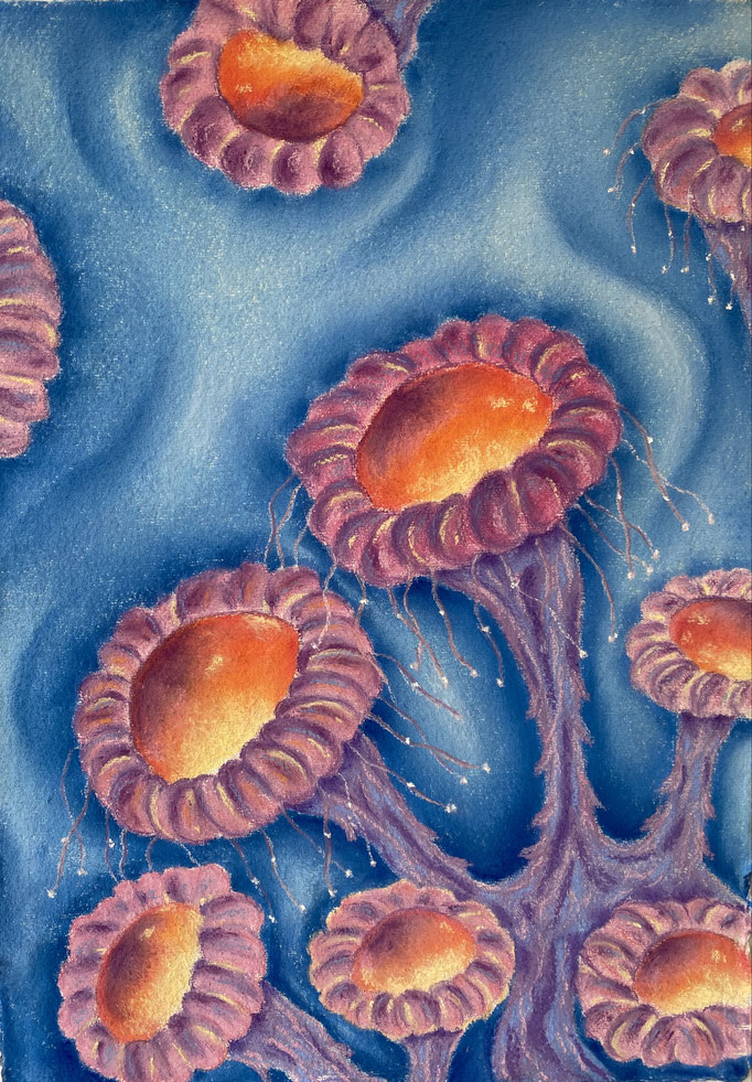 Jellyfish Secrets No 3, 2025 | 42x30cm | Pastel op Khadi papier