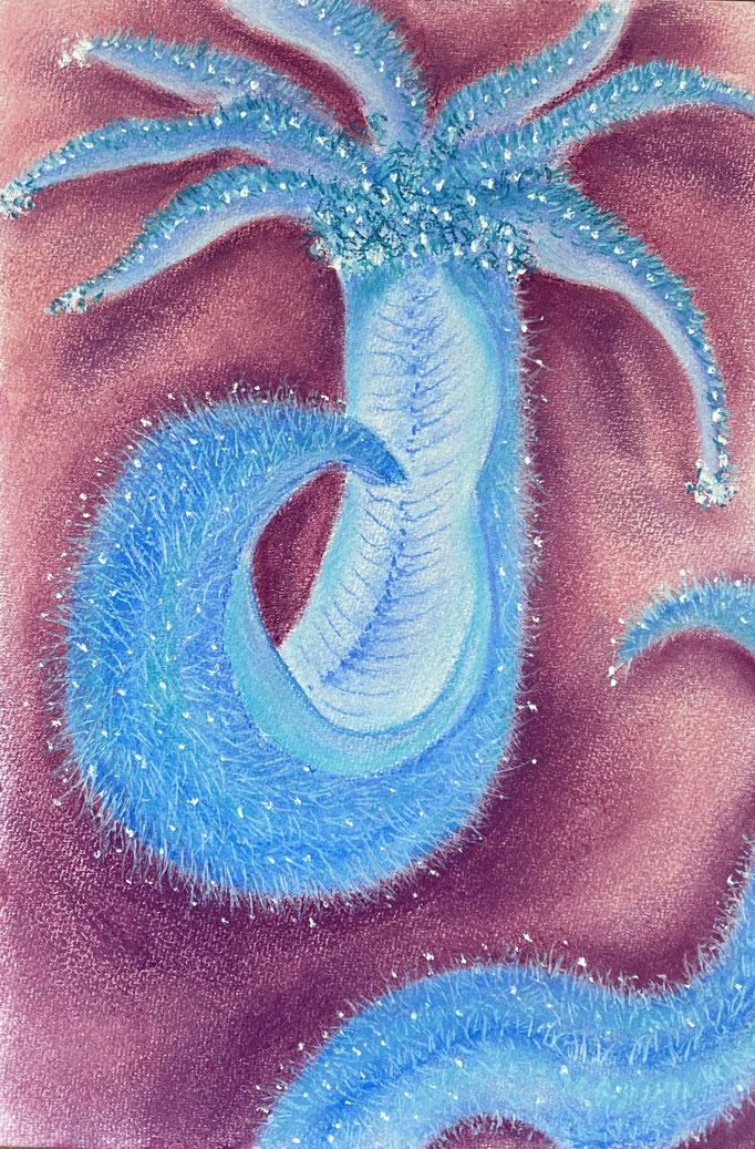 Deep sea worms serie (3), 2024 | 30x20cm | Pastel op papier
