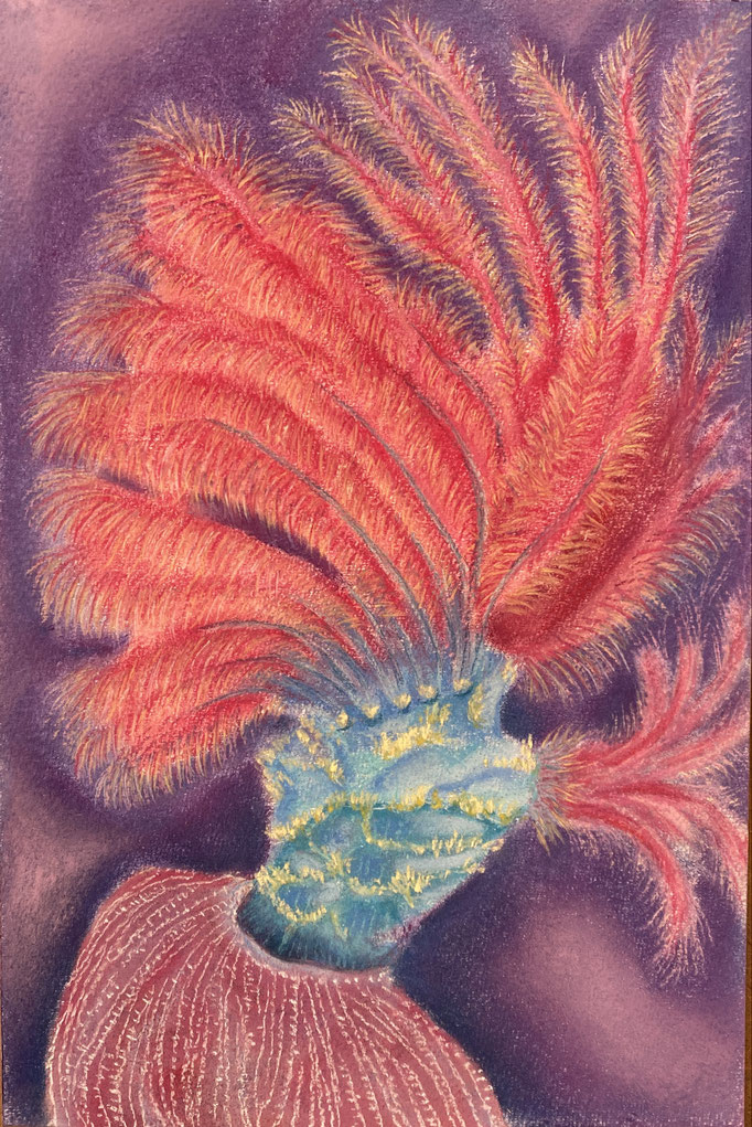 Deep sea worms serie (6), 2024 | 30x20cm | Pastel op papier