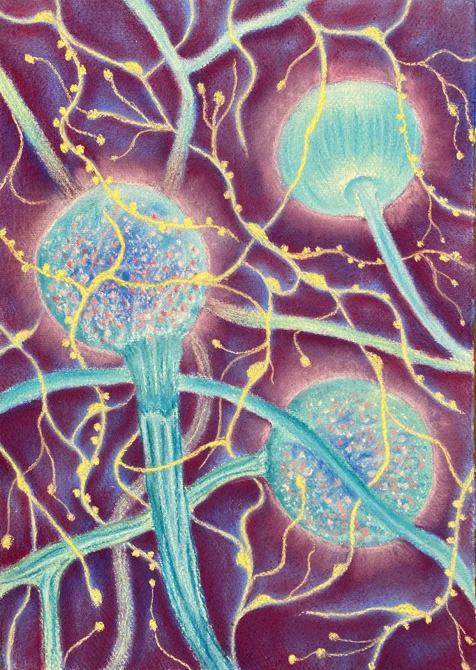 Inner Life III, 2024 | 42x30cm | Pastel, pastelpotlood op Khadi papier