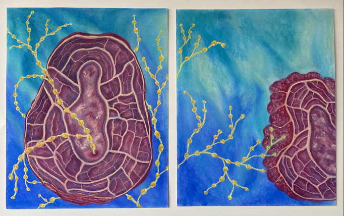 Open, 2025 | (2x) 45x36,5cm | Pastel op papier