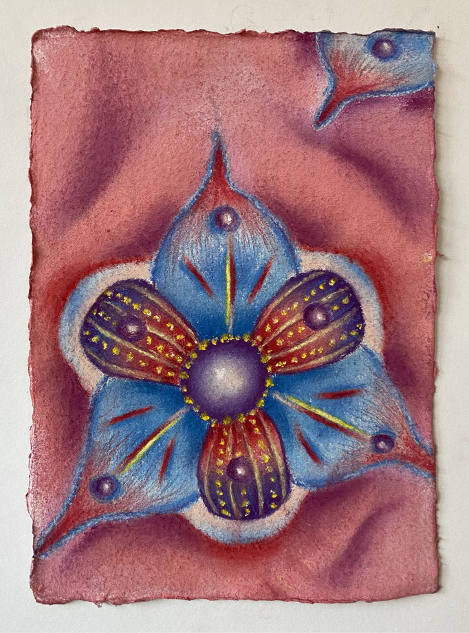 Unknown tiny sea organism (1), 2025 | 21x15cm | Pastel op Khadi papier