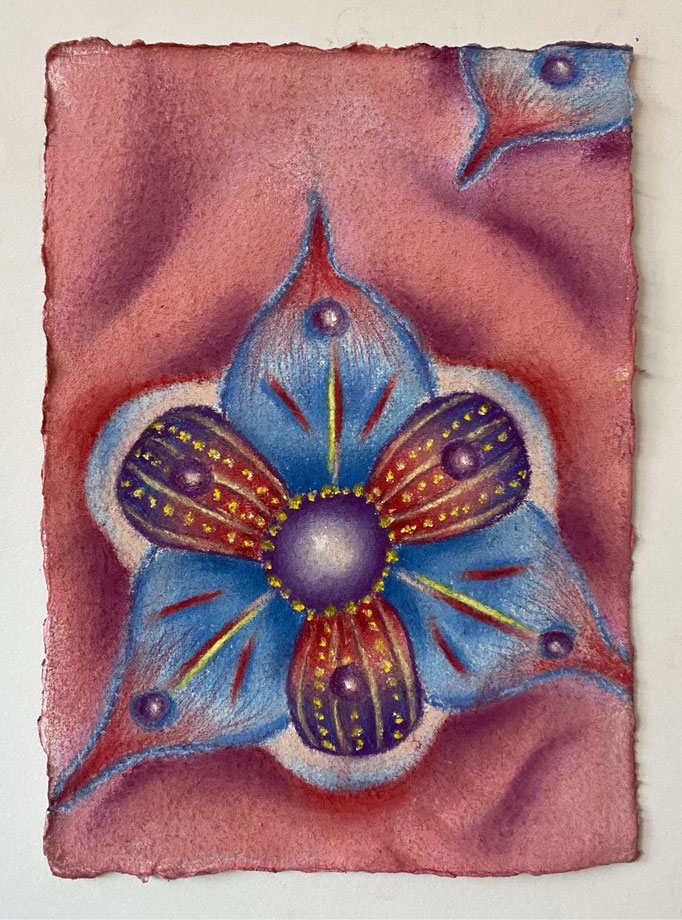 Unknown tiny sea organism (1), 2025 | 21x15cm | Pastel op Khadi papier