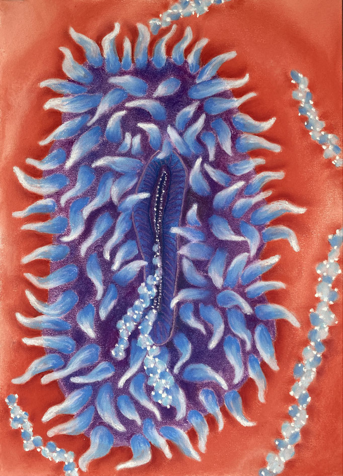 I give you sea pearls, 2025 | 35x25cm | Pastel op papier
