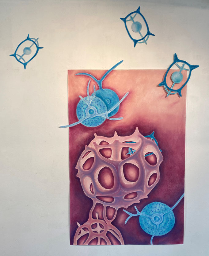 Pink radiolarians installatie, 2023 | 150x100cm | Pastel, pastelpotlood op papier