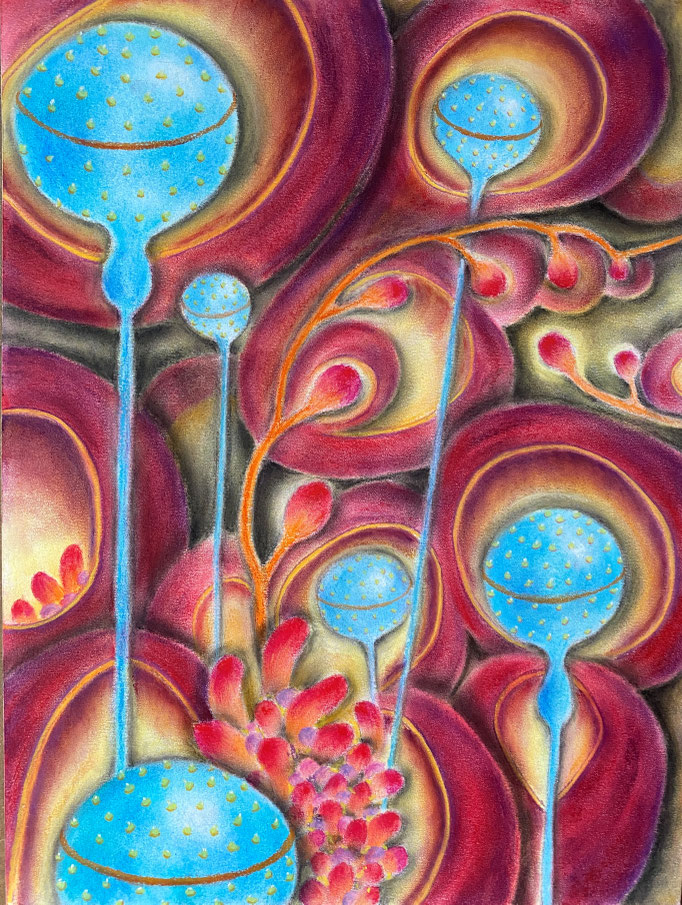 Biodiversiteit 11, 2022 | 35x30cm | Pastel, pastelpotlood, Siberisch krijt op papier