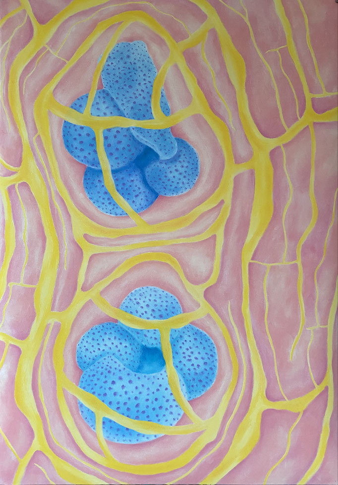 Core (2), 2025 | 100x70cm | Pastel op papier 