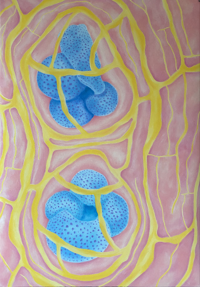 Core (2), 2025 | 100x70cm | Pastel op papier 