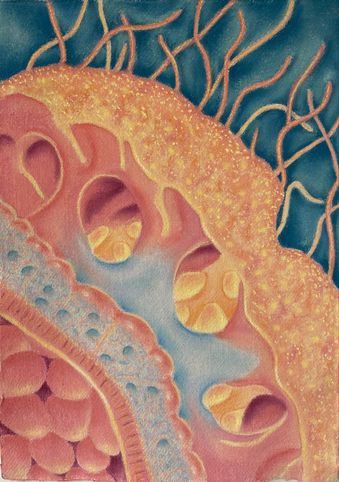 Jellyfish Secrets No 4, 2025 | 42x30cm | Pastel op Khadi papier