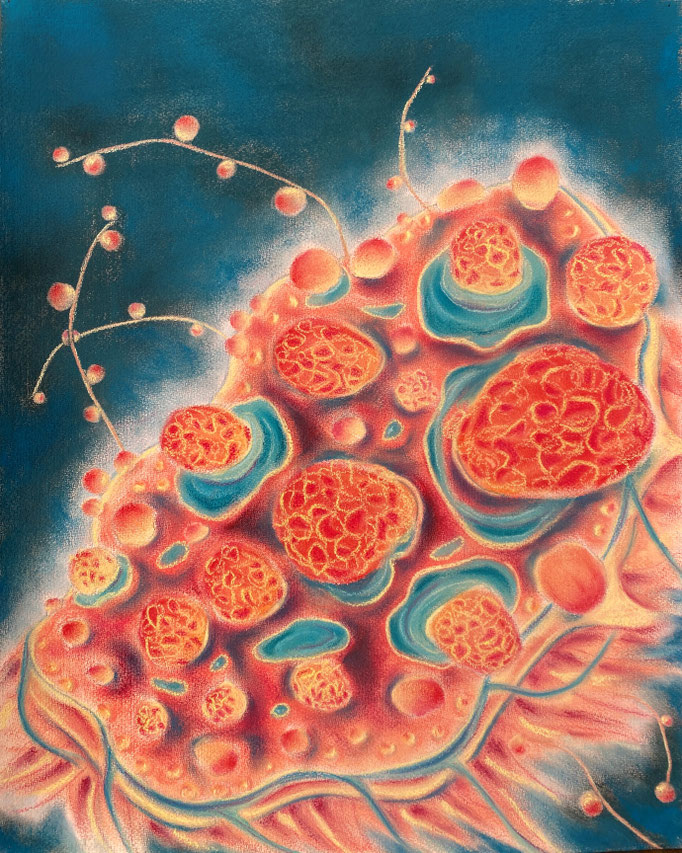 Sea Flower II, 2023 | 50x40cm | Pastel, Siberisch krijt, aquarel op  papier