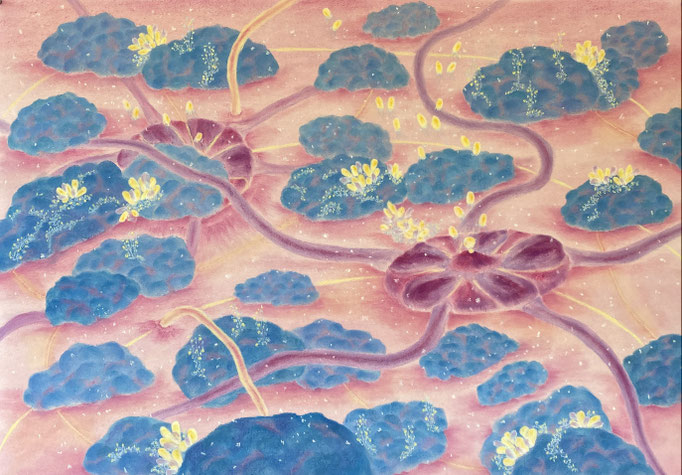 Fragile, Don't Touch! (2),2024 | 70x100cm | Pastel op papier