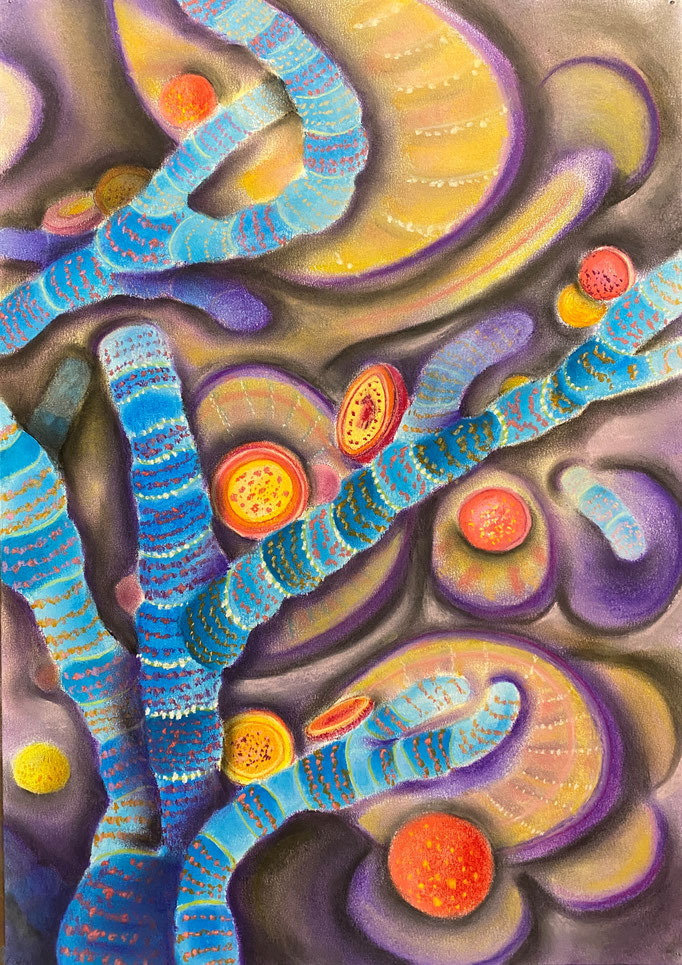 Togetherness , 2022 | 60x40cm | Pastel, Siberisch krijt op papier