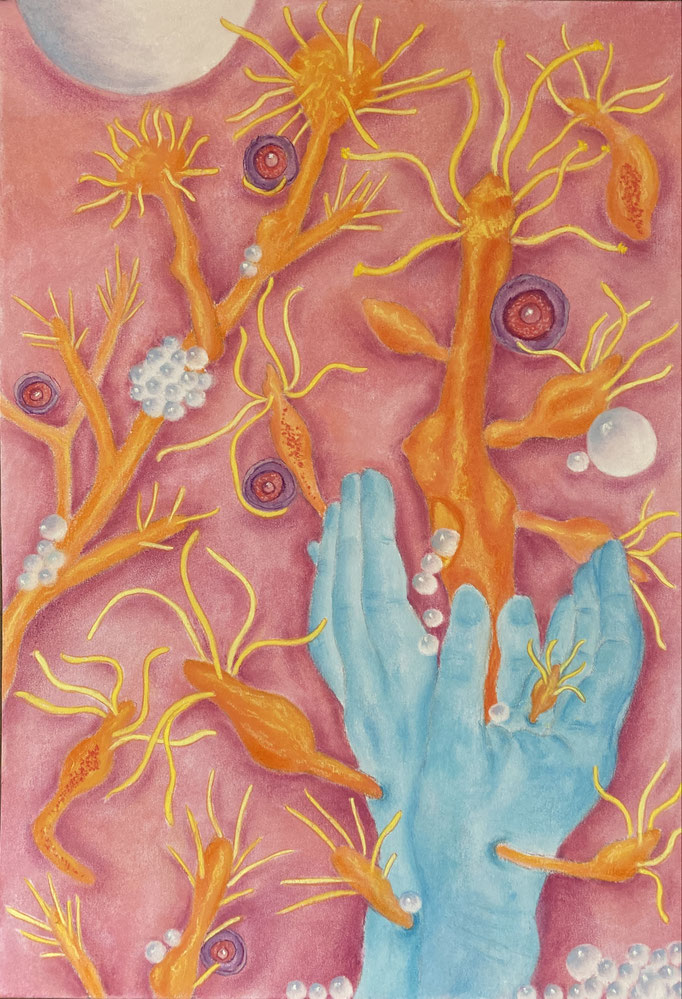 Caressing Hope 2, 2025| 50x35 cm | Pastel op papier 