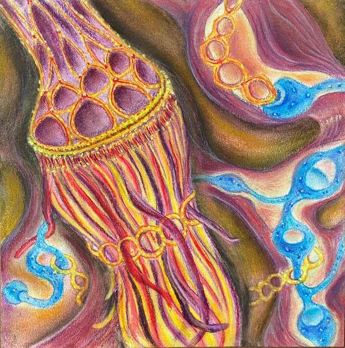 Biodiversiteit 3, 2022 | 20x20cm | Pastel, pastelpotlood, Siberisch krijt op papier