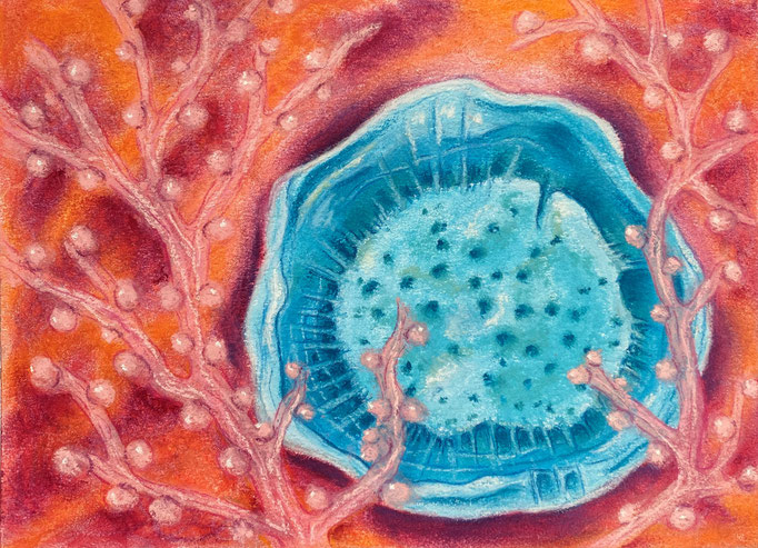 Deep sea series II, In the deep sea floor, 2023| 20x14,5cm | Pastel op papier