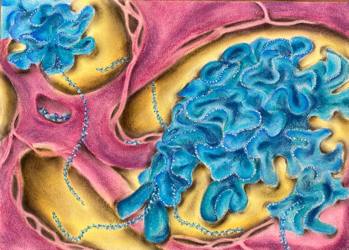 Biodiversiteit 13, 2022 | 25x35cm | Pastel, pastelpotlood, Siberisch krijt op papier