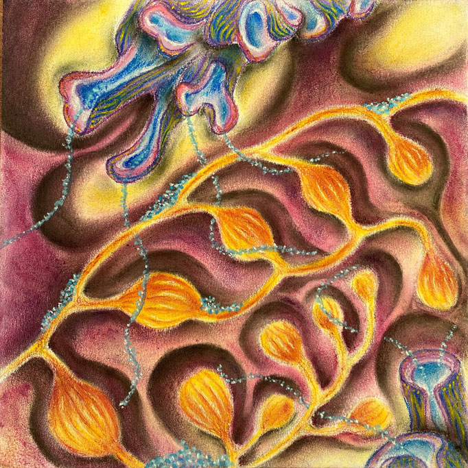 Biodiversiteit 12, 2022 | 20x20cm | Pastel, pastelpotlood, Siberisch krijt op papier