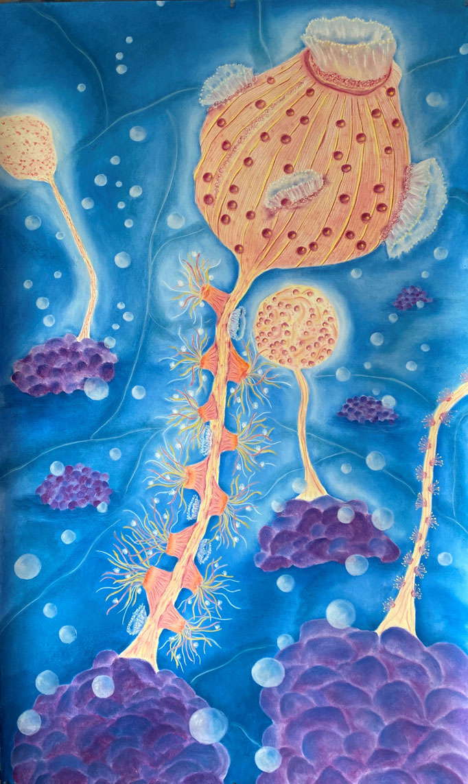 Fragile, Don't Touch! (1),2024 | 150x90cm | Pastel op papier