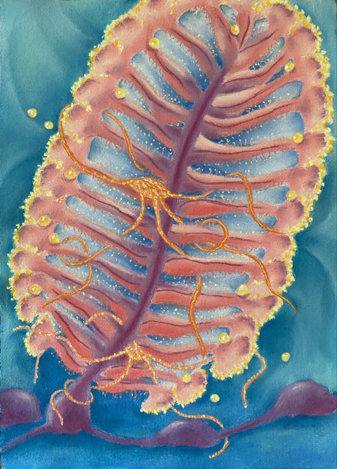 Sharing Life, 2025 | 42x30cm | Pastel on Khadi paper