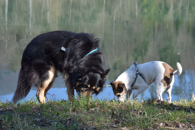 Zeus & Diego