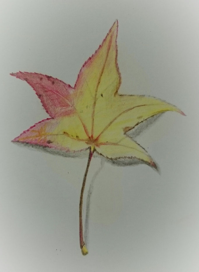 紅葉