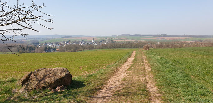 EifelSchleife - Eickser Busch