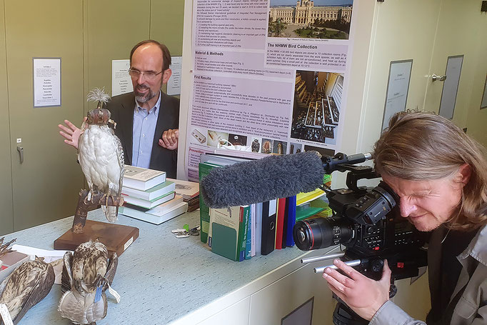 Dreharbeiten im Naturhistorischen Museum Wien / Filming in Vienna's Natural History Museum