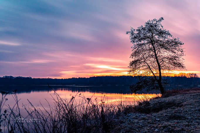 Sonnenaufgang am Haselünner See