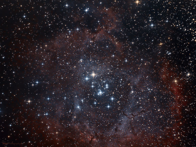 Rosettennebel mit Sternhaufen NGC2244 im Sternbild Einhorn. Entfernung ca.4500 Lichtjahre. Aufgenommen am 1.April.2013