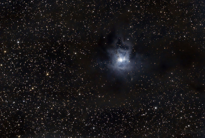Irisnebel (NGC7023) im Sternbild Kepheus. Entfernung ca. 1300 Lichtjahre. Aufgenommen am 15.6.2017