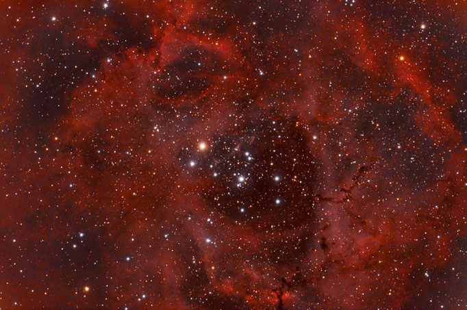 Rosettennebel (NGC 2246)  D iffuser Emissionsnebel im Sternbild EInhorn.  Etnfernung 5200 Lichtjahre. Aufg. am 23.3.2015