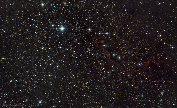 Elefantenrüsselnebel (Ic1396) im Sternbild Kepheus. Entfernung ca.2400 Lichtjahre. Aufgenommen am 30.3.2013