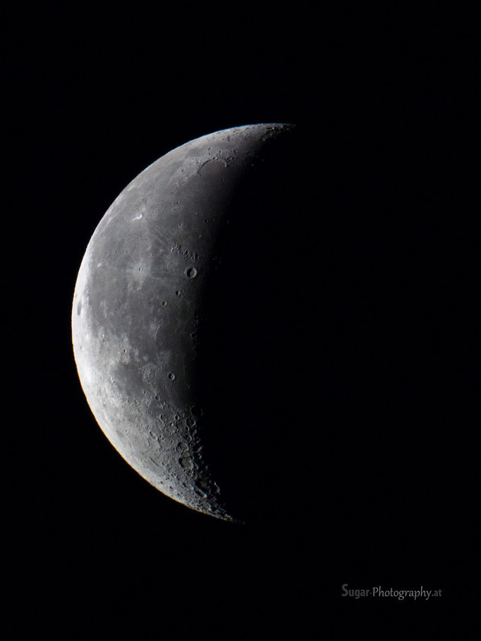 Halmond Juli 2013