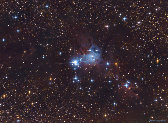 Weihnachtsbaum (NGC2264) mit Konusnebel im Sternbild Einhorn. Entfernung cirka 2500 Lichtjahre. Aufgenommen am 14.3.2014