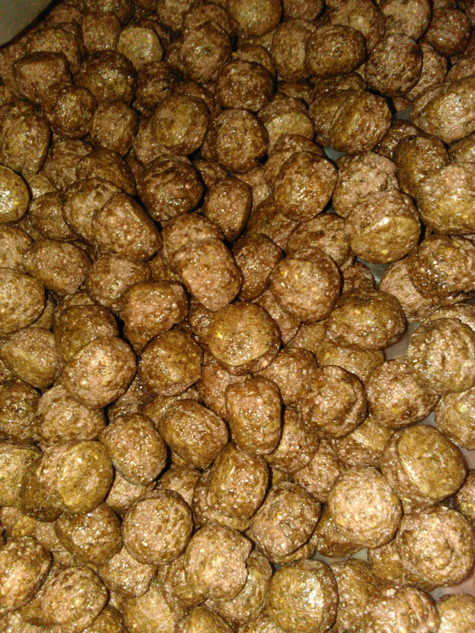 Maca Negra