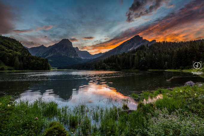 Oberseetal in der Abenddämmerung