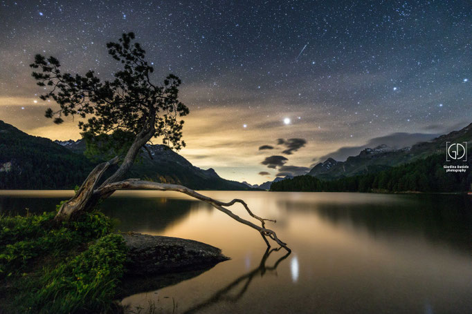 Silsersee
