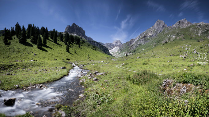 Bächialp Panorama