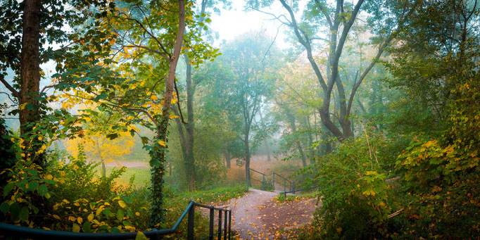 Nebel in Reichardts Garten